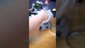 Обзор на кастрюлю с перегородкой!!!!!!!!!!)