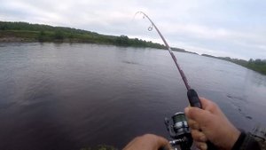 Пулонга - Часть 1