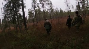 Охота на медведя. Поиск косолапого.