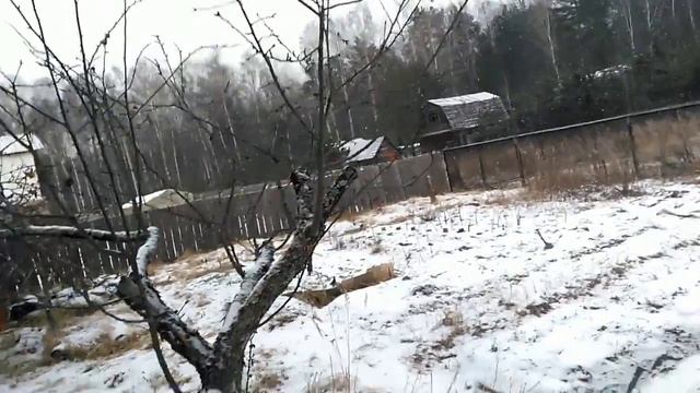 46. Моя дача без прикрас. В январе -9. Экскурсия-интервью смотреть онлайн