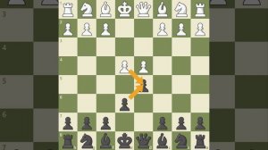 Введение в 1.e4 - дебют за черных (1...e6, 1...c6 и 1...d5)