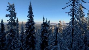 Дастер БРД, едет в горку