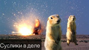 Забавные Суслики | Башкирия | Голубое озеро | Gophers |  Russia | Nature | Animal | Travel | 4K