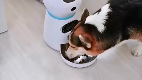 Кормушка.