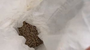 Что нужно для бурения скважины?Как пробурить скважину. Инструмент для бурения скважины well yoursel