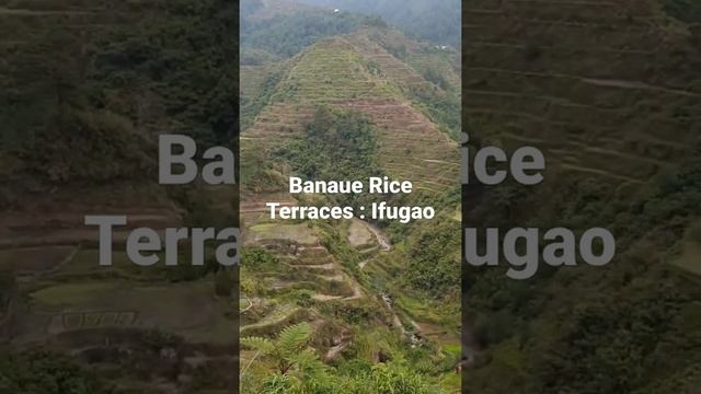 Banaue Rice Terraces: Ifugao, Philippines