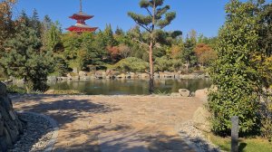 Краснодар Японский сад (ВСЕМ стоит побывать)
