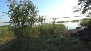 На рыбалку с ночевкой, с друзьями. Уха получилась отменная)