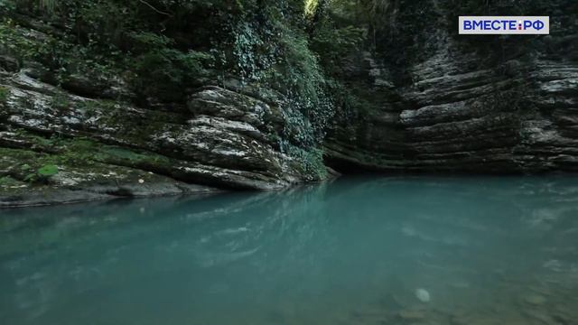 Субтропические рощи и ледники, леопарды и волки в Кавказском заповеднике. Заповедники РФ смотреть онлайн