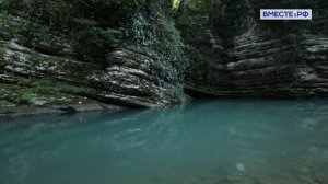 Субтропические рощи и ледники, леопарды и волки в Кавказском заповеднике. Заповедники РФ