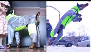 Комбинезон для добермана. Шью сама.