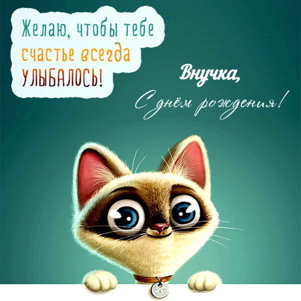 С ДНЕМ РОЖДЕНИЯ ВНУЧЕНЬКА ЛЮБИМАЯ