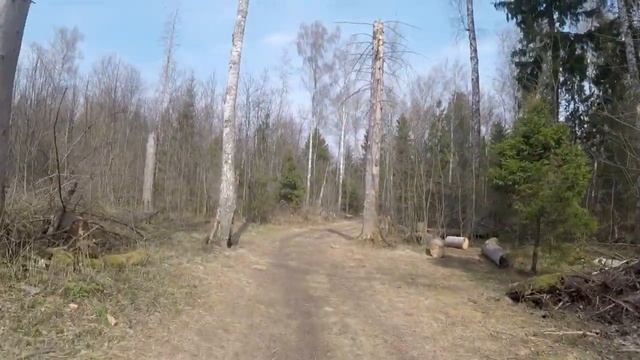 #istrrun Истра  Соколиная гора 13 апреля 2020  Все на тренировку! смотреть онлайн