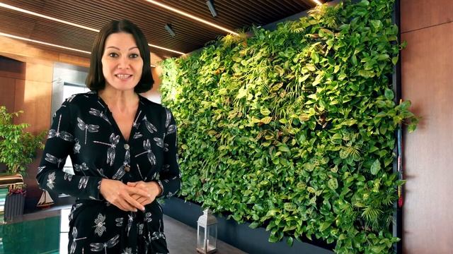 Промо Вертикальное смотреть онлайн