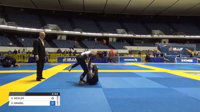 Absolute FINAL IBJJF NOGI Worlds Brown Belt Vanessa Waltz (Wexler) vs C Rangel Master 1 смотреть онлайн