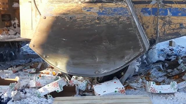 Южноамериканская томатная моль смотреть онлайн