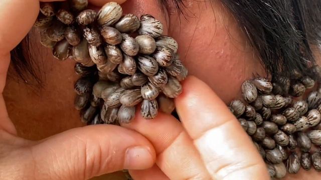 I have ears and ticks like my ears смотреть онлайн