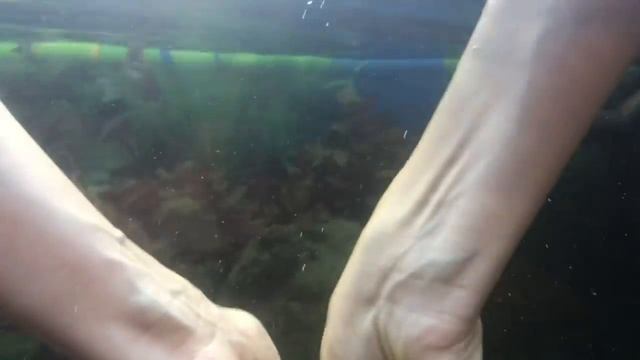 У меня рыбки?! Чистим аквариум смотреть онлайн