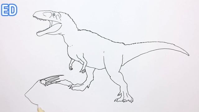 How To Draw Tyrannotitan | Drawing And Coloring Dinosaurs