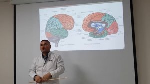 Рельеф плаща. Локализация центров в коре полушарий головного мозга