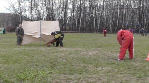 Большой Русский Ринг. 23.04.2016 г.