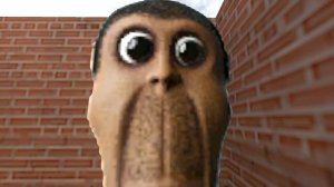 Don't provocation Obunga family in the maze-(Garry's Mod Animation)