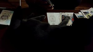 Почему Грядущий Царь молчит?  Таро_расклад Шоу #стрим #вопросподписчика  #грядущийцарь