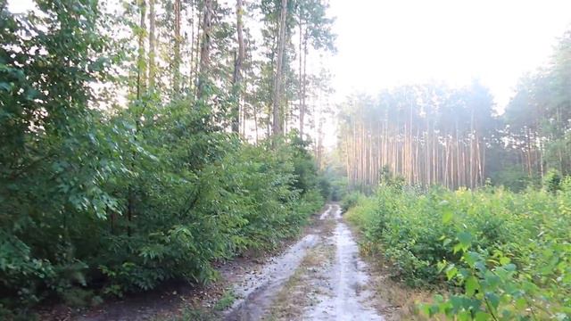 Как можно спутать названия сортов? Все варианты возможной ошибки) смотреть онлайн