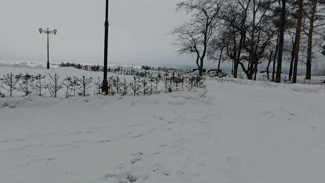 #Томск Лагерный сад