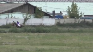 Скачка для лошадей 3 лет-Красноярск 29.08.2015
