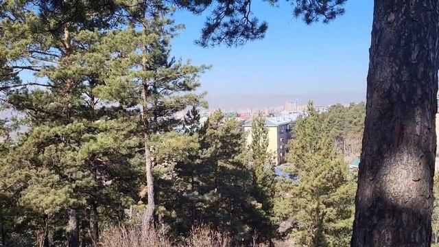 прогулка на электро самокате по лесу... смотреть онлайн