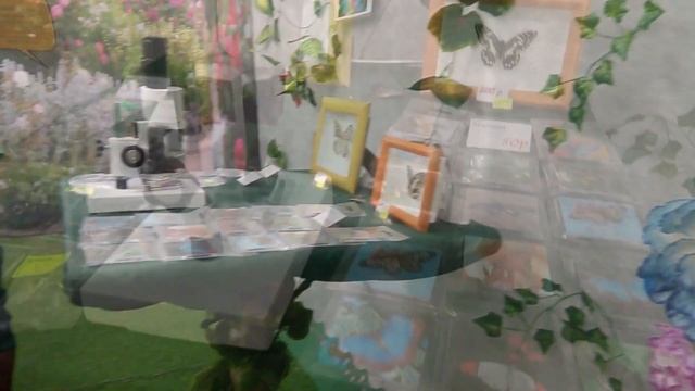 Выставка тропических бабочек "Монарх" смотреть онлайн