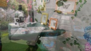 Выставка тропических бабочек "Монарх"