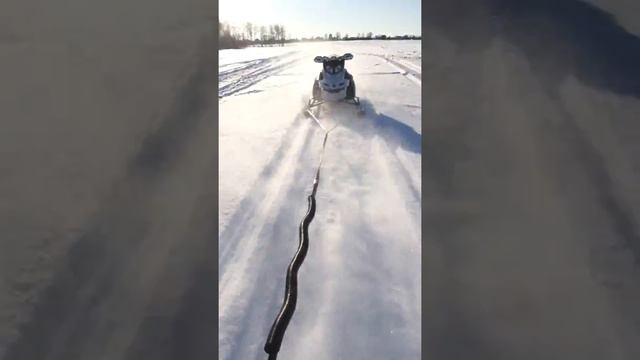 Буксировка Снегохода без  водителя !