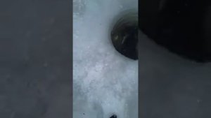 Электросталь, водоем Южный