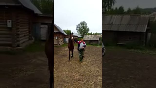 продам смотреть онлайн