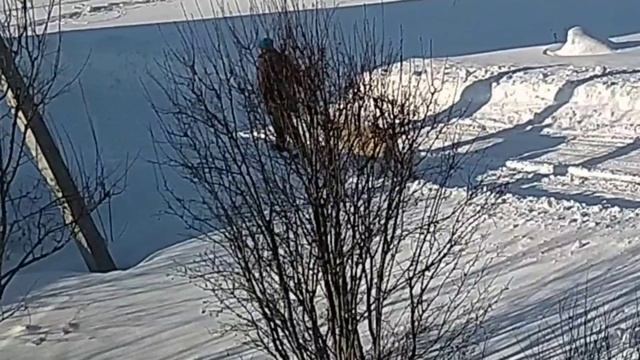 Город-село. Наблюдения.
