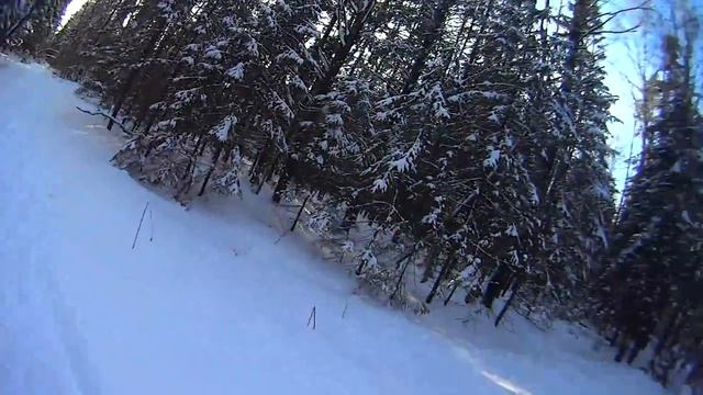 Лыжня Рыбинск - Тихменево  24.02.2018