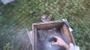 пчелы среднерусские злые , улей в зиму. пчеловодство