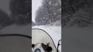 Снегоход рысь с доработками