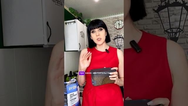 Как избежать ошибок при хранении сухого корма  #хранениекорма