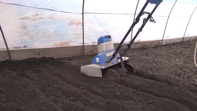 Посадка сладкого перца 2021 | обзор остатков рассады смотреть онлайн