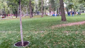 Три типа повесток: уточнение учётных данных, прохождение медкомиссии и мобилизационное предписание