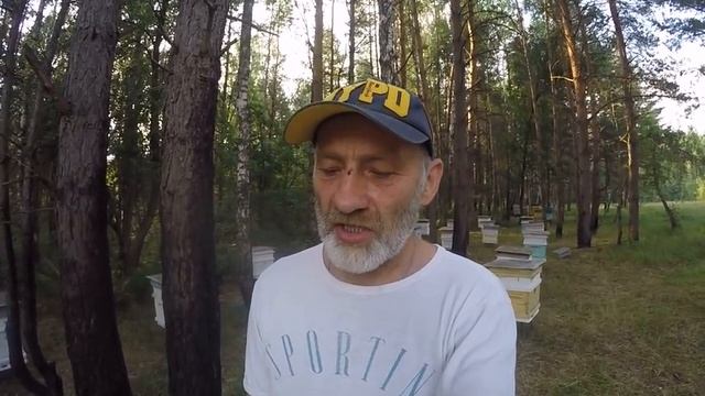 НА МЕДОСБОРЕ ОДИН МАГАЗИН ИЛИ БОЛЬШЕ? смотреть онлайн