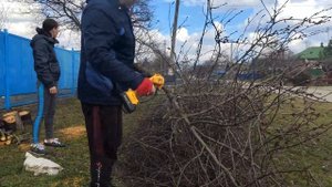 ПОСЫЛКА С ОЗОНА / ПИЛА В ДЕЛЕ/ИЗМЕЛЬЧИТЕЛЬ ВЕТОК.