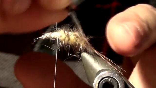 НИМФА ,,ВЕСНЯНКА,, 1 SVA смотреть онлайн