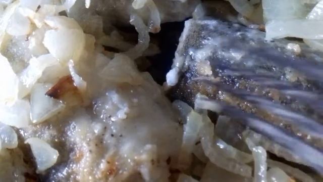 Как Приготовить Рыбу Морскую. Получилось . Часть 2. 17 сентября 2020 г. смотреть онлайн