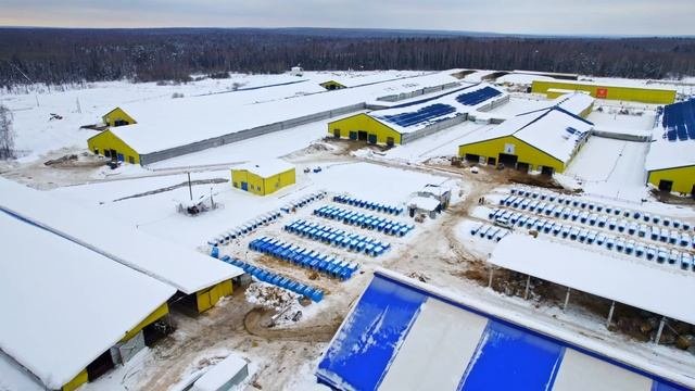Первая МЕГАФЕРМА в России | История фермы Рождество | КУЛЬТИВАТОР