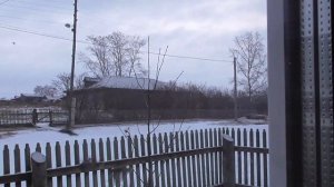 Зимняя птица с хохолком на голове – свиристель