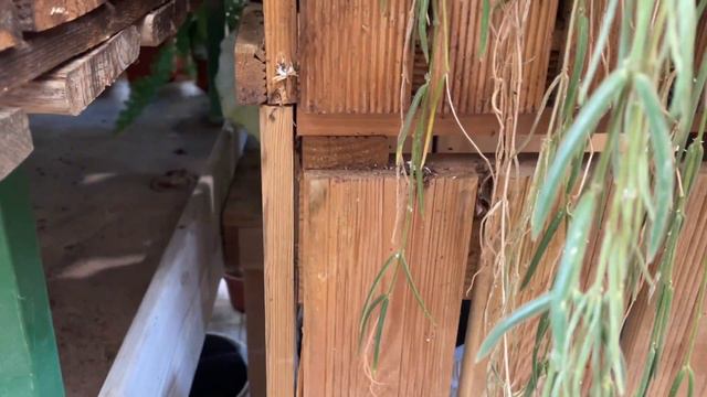 JARDILAND MERIGNAC 05/11/2022 смотреть онлайн